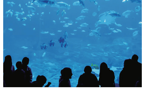 Panasonic - アラウーノZ