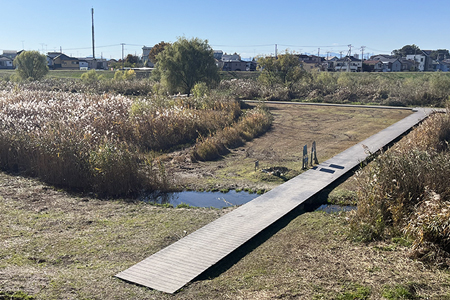 寺尾遊水池遊歩道