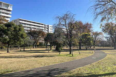 福岡中央公園