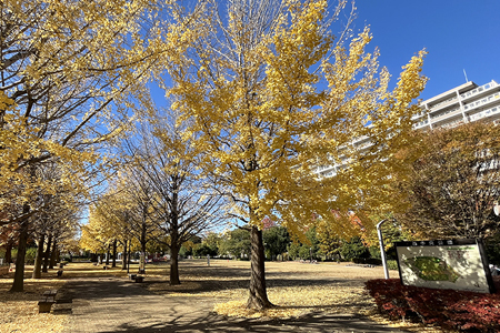 西中央公園